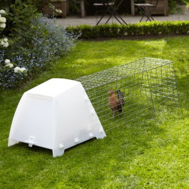 Chicken Coop Stedelijke Klap