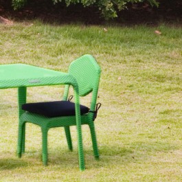 Veel Van 2 Stoelen Kind Laguiole