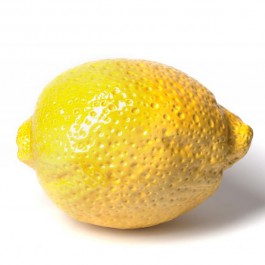 Céramique Citron Brillant Sculpture  BullStein JardinChic