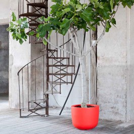 Pot Cup Escalier 1825 JardinChic