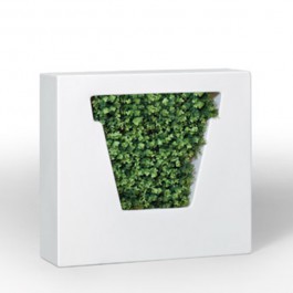 Pot Nonvaso Blanc MyYour JardinChic