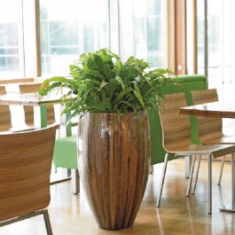 Jardinière d'Intérieur Mellow Plants First Choice JardinChic