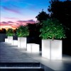 JARDINIERE Kube High Lichtgevende L80cm