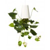 Jardinière Sky Planter Recycled Boskke JardinChic