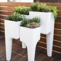 Plantaardige Planter Kiga XL