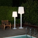 INOUT Lamp