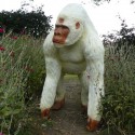 Standbeeld Gorilla Staande Wit Gelakt
