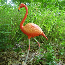 Standbeeld Flamant Rose