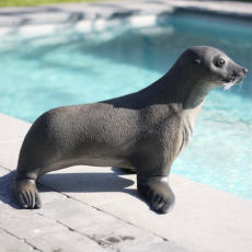 Sea Lion Standbeeld