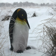 Pinguïn Standbeeld