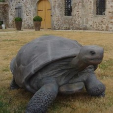 De Galapagos-schildpad Standbeeld