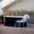 Set Van 2 Stoelen Chips