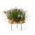 Plantenbakken Groene Pads-presentator