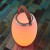 The.Lampion Kleurlamp