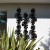 Treille Monstera Liana Noire