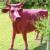 Standbeeld Koe Rose