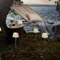 Zonlicht Solar Planting Lamp