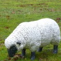 Standbeeld Mini Schapen Hoofd Bass 