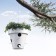 Pot feeder O-Nest-O gelakt witte DeCastelli JardinChic