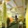 Rideau Végétal Airplant interieur Teracrea JardinChic