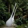 Vases Ampoule XL Blancs MyYour JardinChic