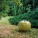 Keramische Apple briljante reus sfeer BullStein JardinChic
