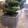 Lade zink boom Domani JardinChic