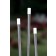 Borne Bamboo Inverlight Jardinchic