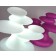 Licht doorschijnend Bonsai en Bonsai Rose Myyour JardinChic