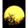 Heldere LED bol 01 JardinChic bal