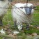 Standbeeld schapen hoofd hoog Tex Artes JardinChic
