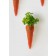 Wortel aanplant Lila Force Jardinchic