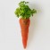 Wortel aanplant van Jardinchic