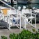 Opvouwbare stoel Regista Serralunga JardinChic