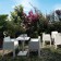 Set van 2 stoelen stapelbare TOY terras Driade JardinChic
