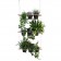 Plantaardige schot knipsel Etcetera bedrijf JardinChic