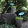 Regenwater reLeaf tuin Teracrea JardinChic collector