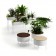 Collectie Green sokkels Offecct Jardinchic