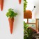 Hele wortelen te planten Jardinchic