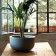 Pot Cup bottom 1825 JardinChic
