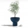 Pot Primavera hond Serralunga JardinChic