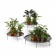 Groene Trays Offecct Jardinchic