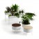 Collectie groene sokkels Jardinchic