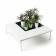Tabel lage venster plant Jardinchic