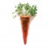 Retail core te planten Jardinchic