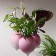 Bos van radijs Jardinchic