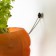 Zoom wortel aanplant van Jardinchic