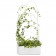 Tuinman / Treille Green Divider tuinman Offecct JardinChic