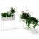 Alle Jardinière Green sokkels Jardinchic