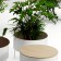 Alle Zitzak + koffietafel en jardniniere ronde groene sokkels Jardinchic